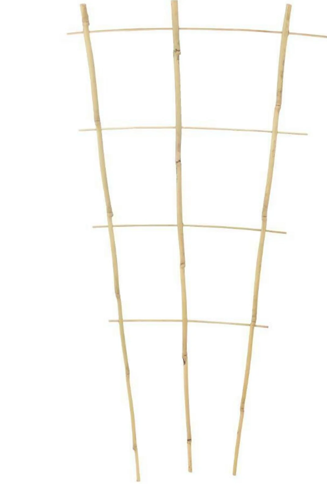 Bamboo Fan Trellis