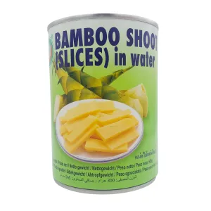 Bamboo Shoot Slices in Water 565g by XO